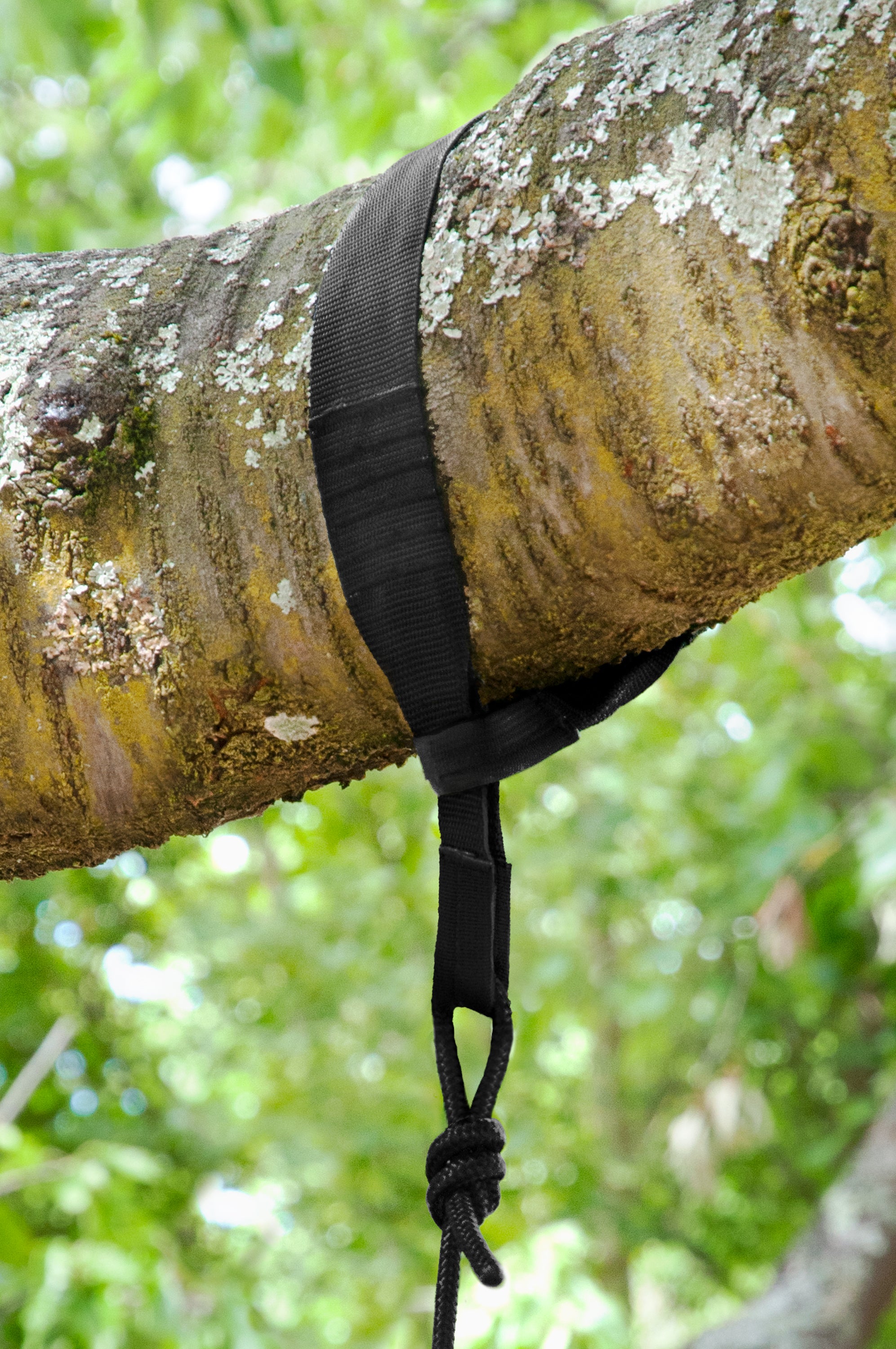 Haken und Seil des TreeMount im Detail