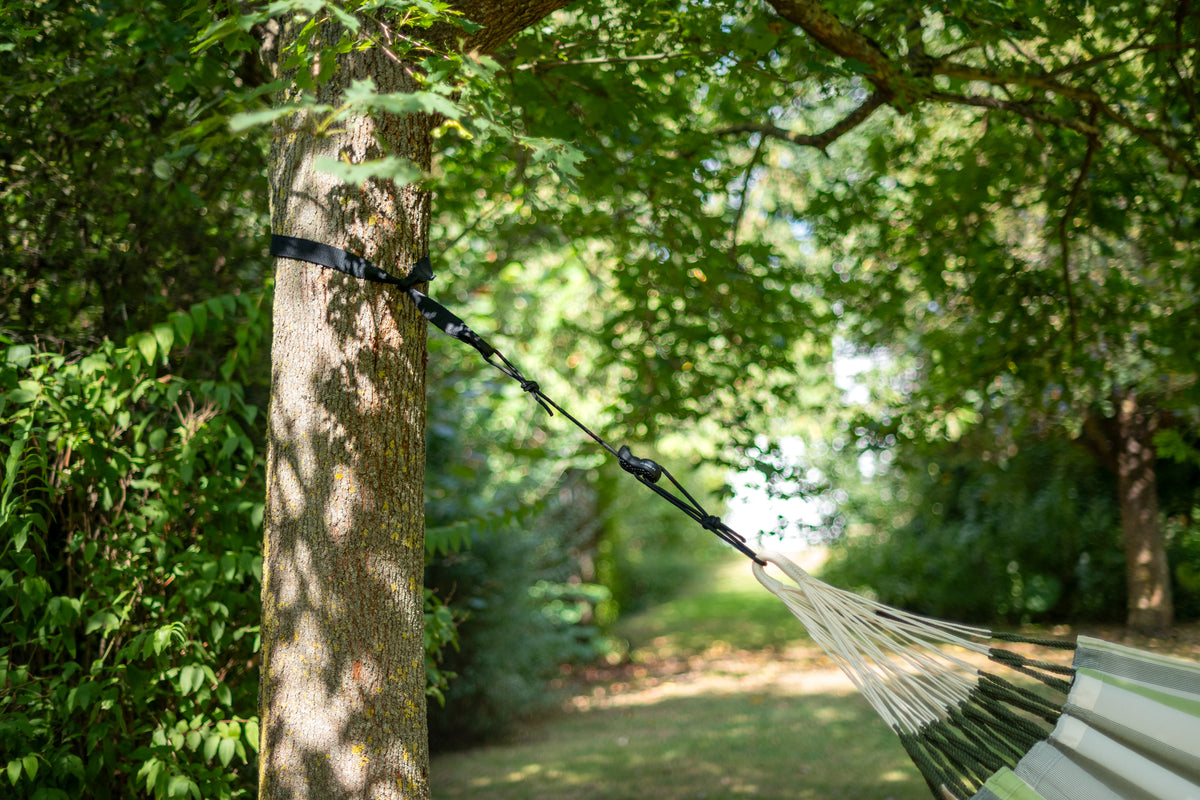 TreeMount Gurt um einen Baumstamm gelegt