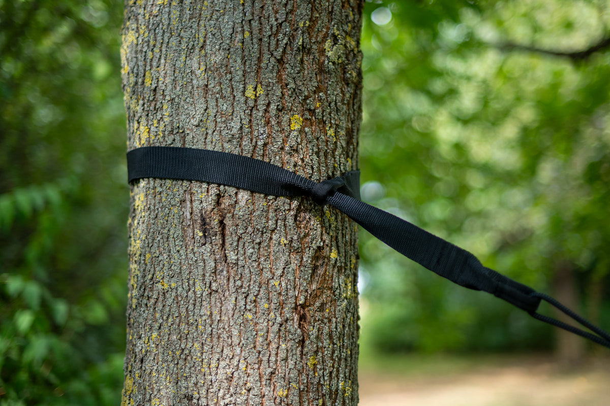 Hängematte mit TreeMount zwischen zwei Bäumen